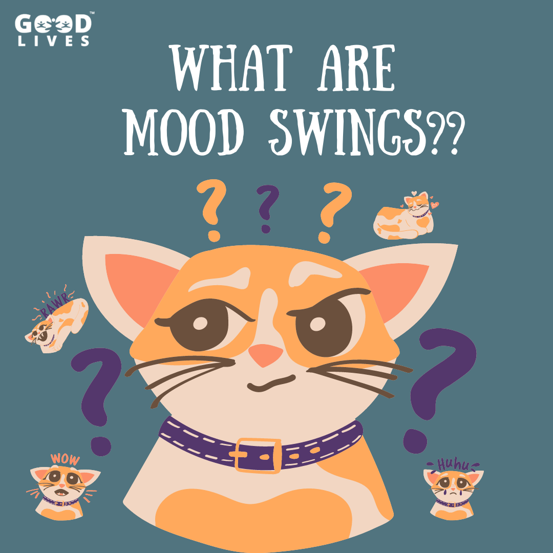 what-are-mood-swings-instantly-understand-5-causes